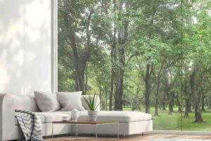 salotto con vista alberi giardino