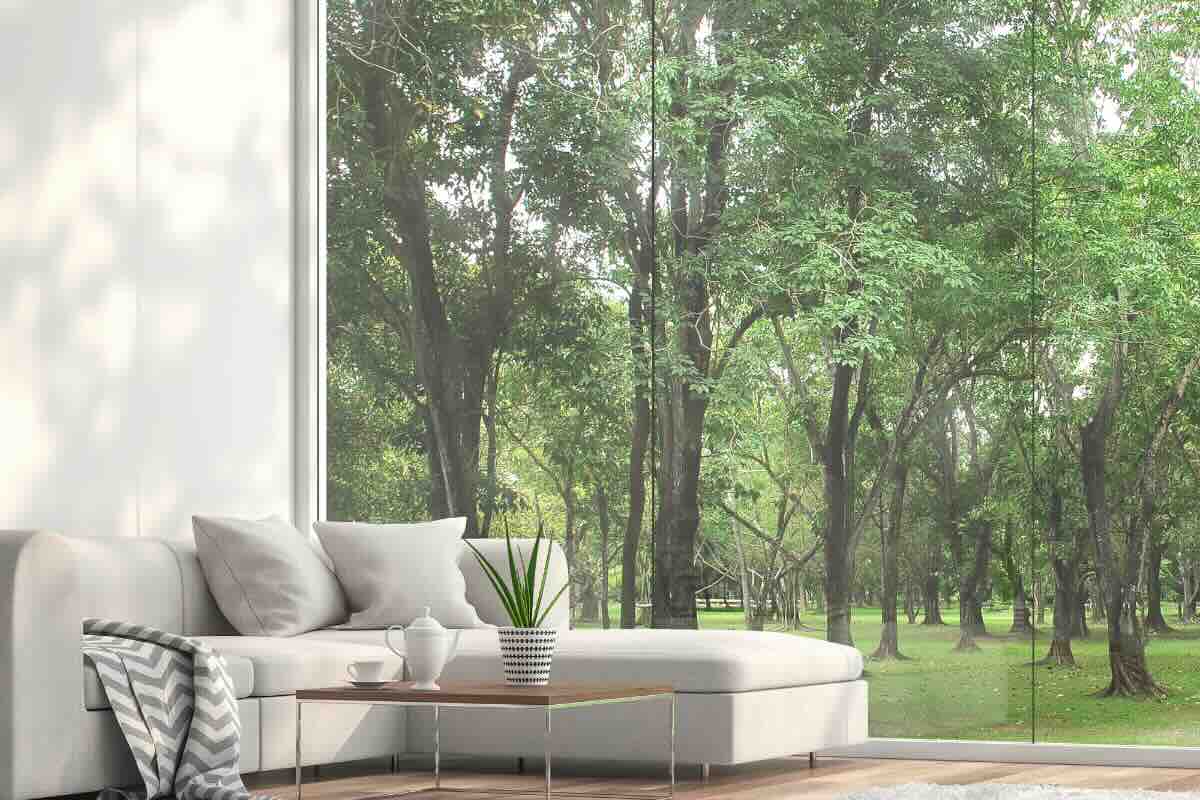 salotto con vista alberi giardino