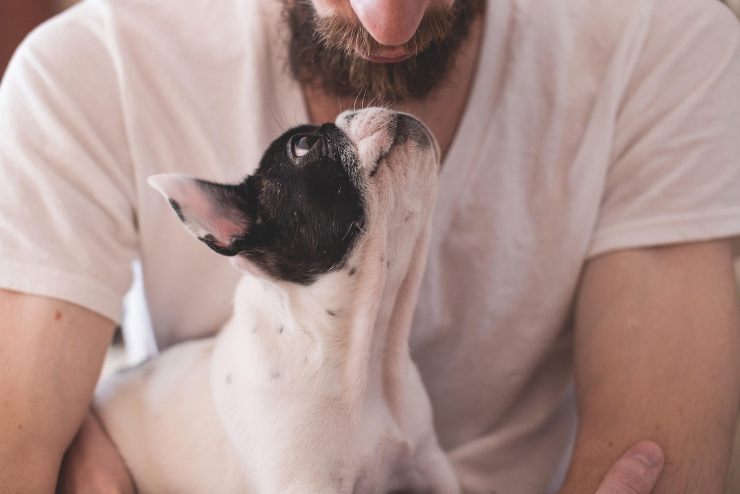 cane che guarda padrone