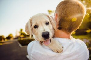 Cane in braccio a padrona