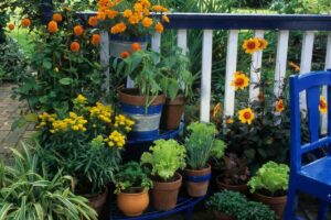 piante e fiori balcone