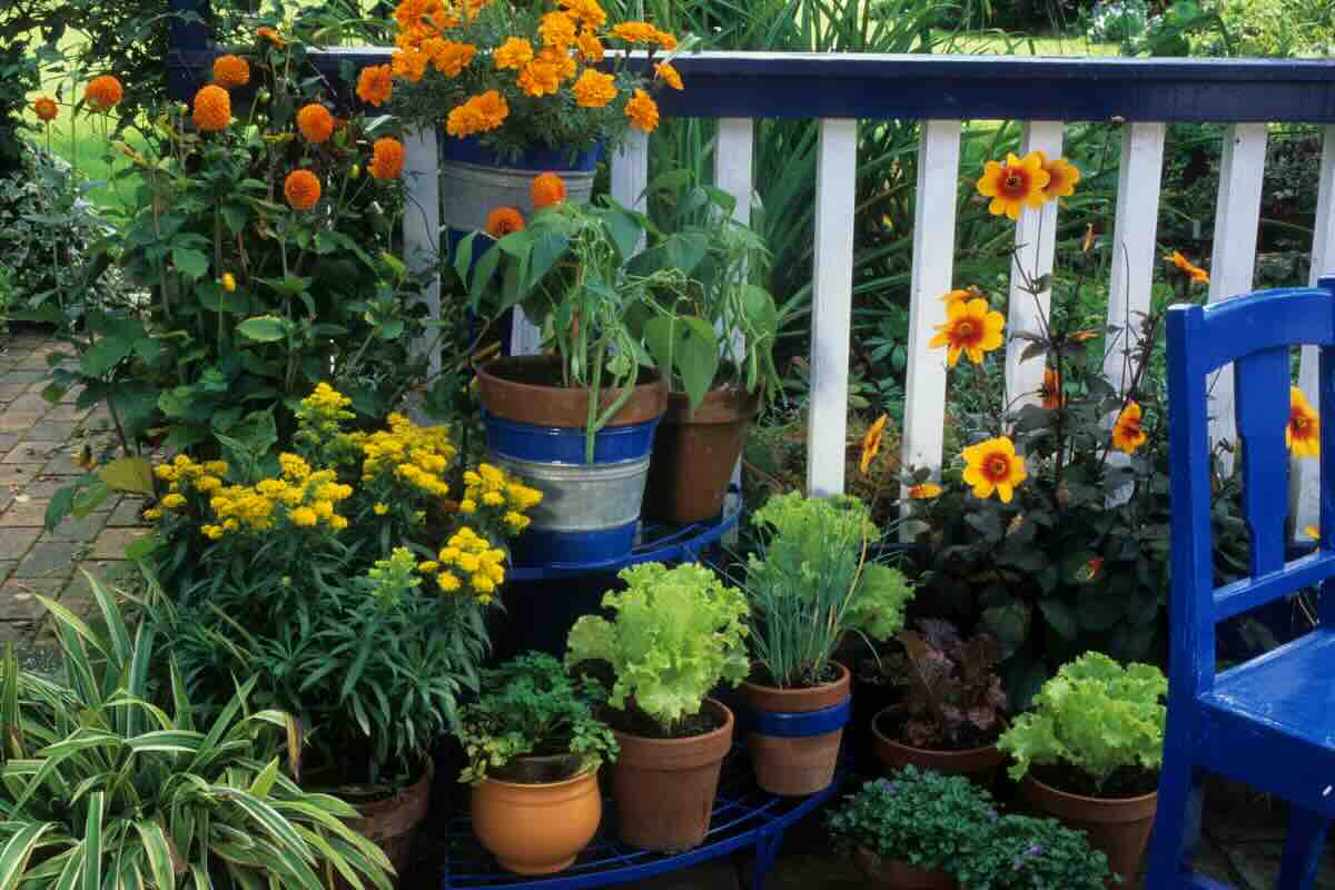 piante e fiori balcone