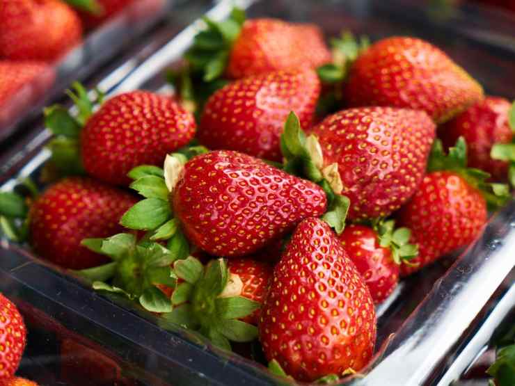 fragole in vaschetta