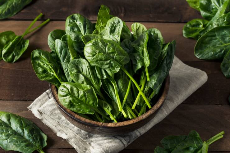 scodella con foglie di spinaci