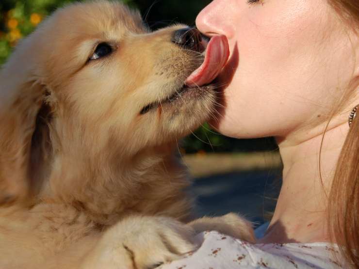 Cane che lecca la padrona