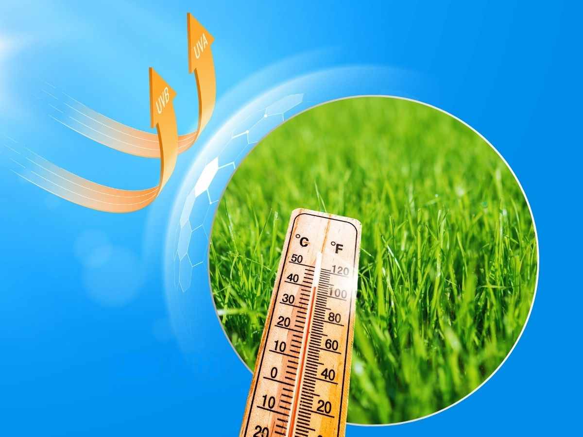 Prato termometro e simboli calore