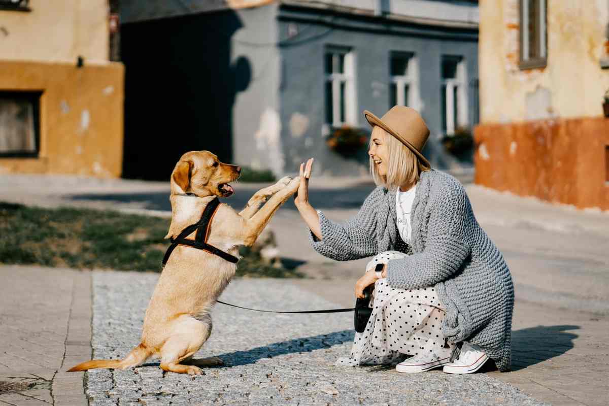 Ragazza gioca con il suo cane