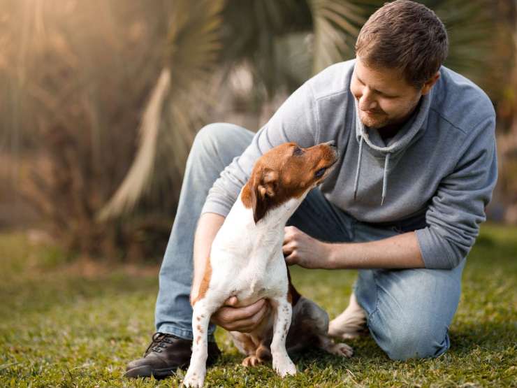 cane che guarda il padrone