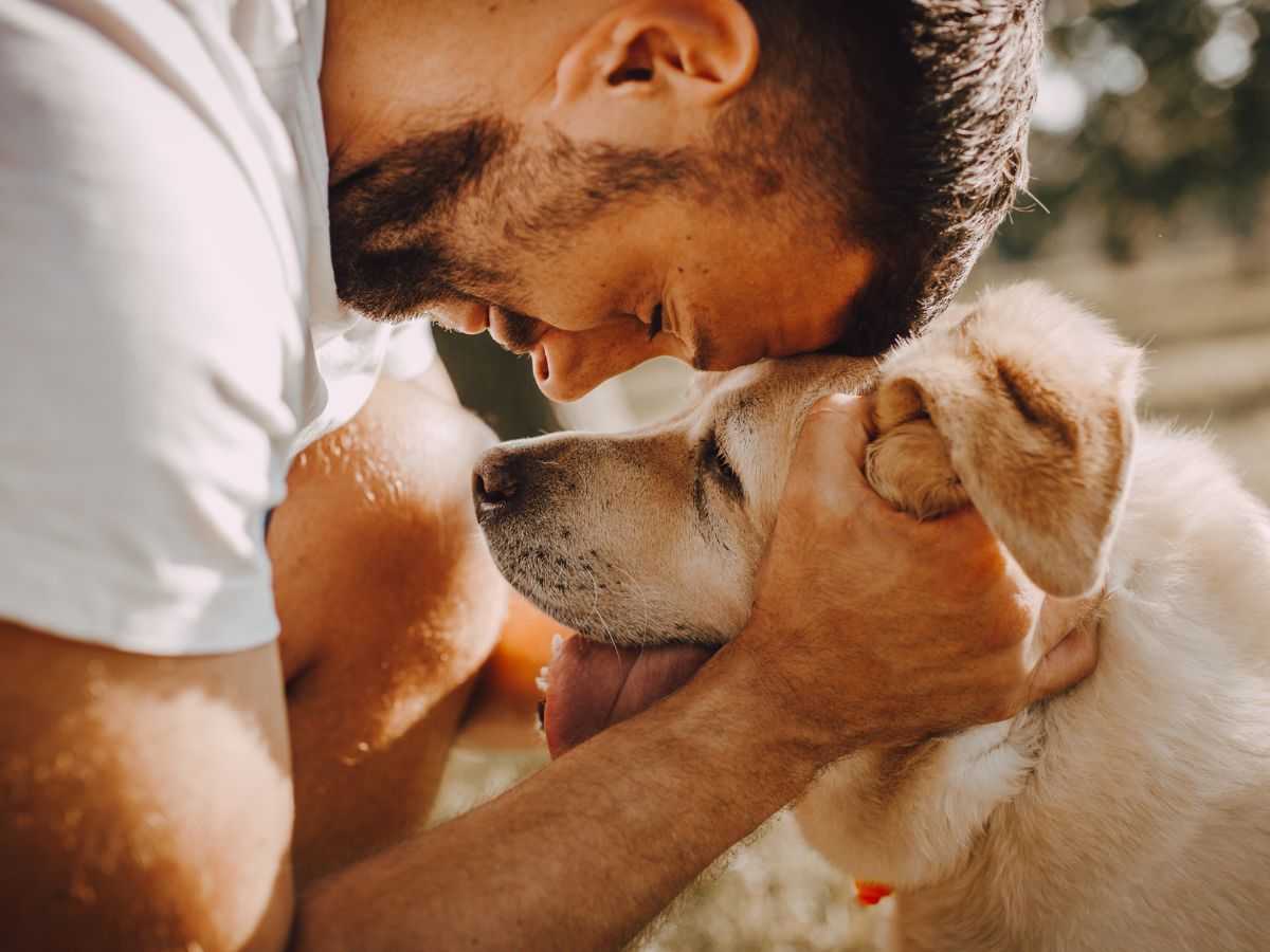 cane con proprietario