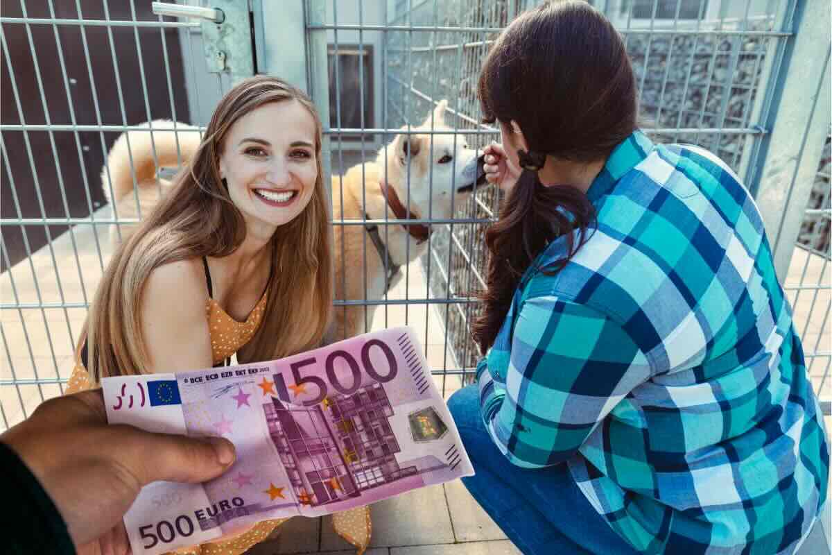 Due ragazze davanti gabbia cane canile, mano tende 500 euro