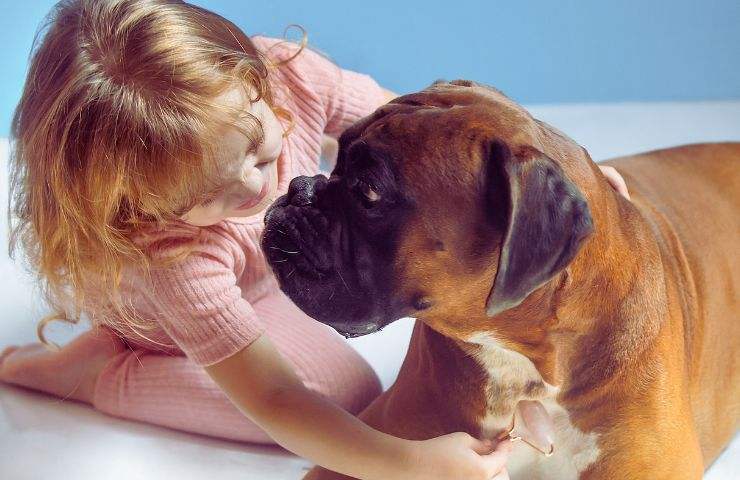 bambina che gioca con cane
