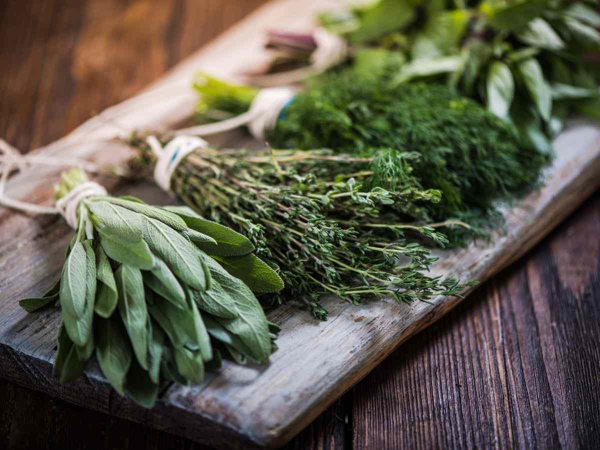 erbe aromatiche su tavolo