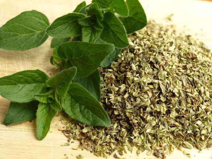 menta essiccata e fresca