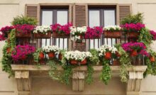balcone pieno di fiori