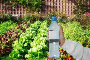 Orto e bottiglia di plastica
