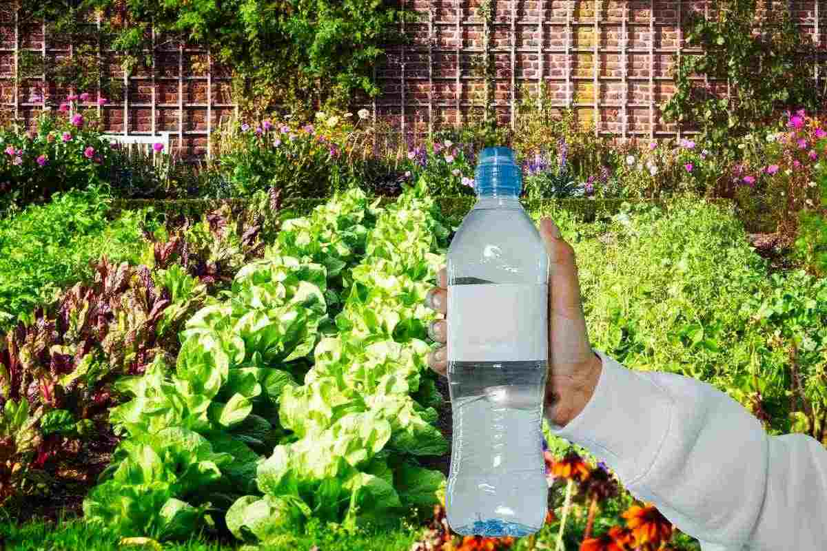 Orto e bottiglia di plastica