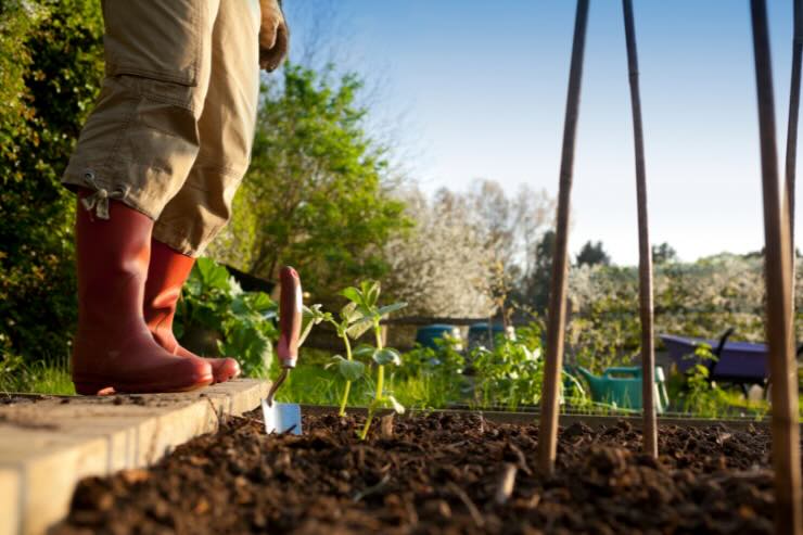 uomo con stivali e orto con verdure