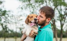 Ragazzo bacia cane