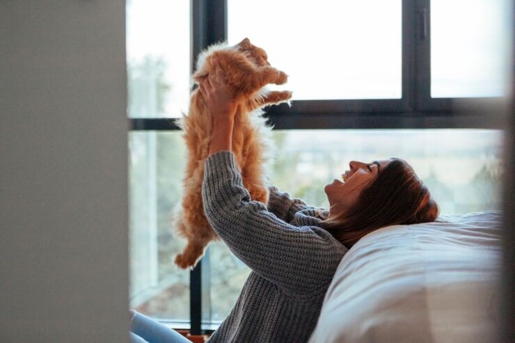 Ragazza gioca con gatto sul divano