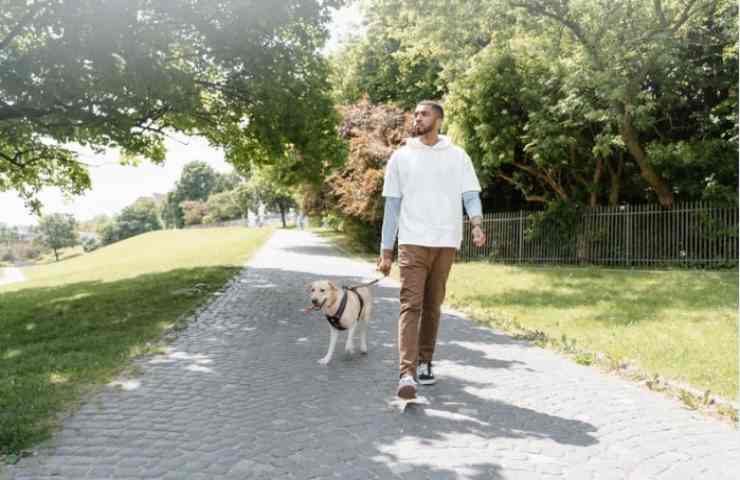 uomo porta il cane a spasso
