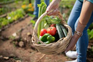 cestino con verdure orto